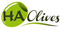 logo-1